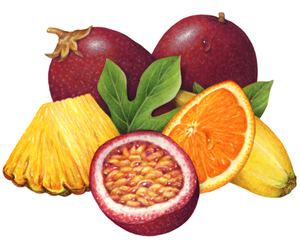 Fruit portfolio