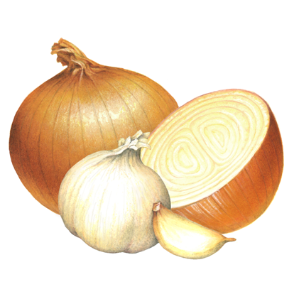 th-onion-garlic
