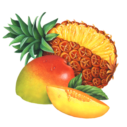 th-tropical fruit