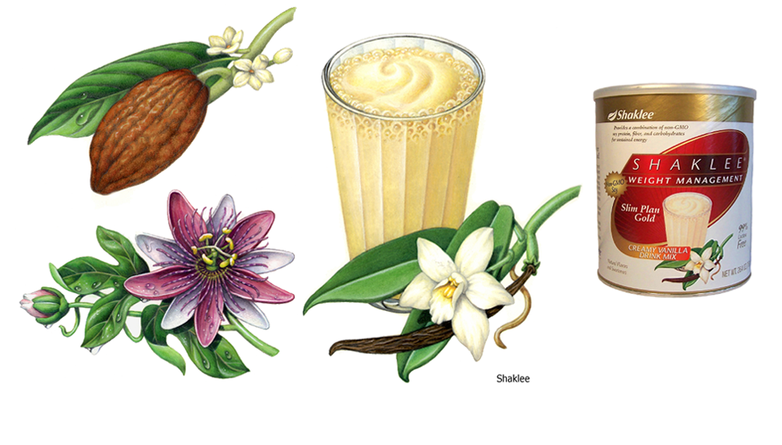 Botanical illustrations of cacao, vanilla and passion flower used on packaging for Shaklee.