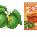 monk fruit in the raw botanical illustration