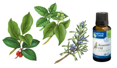 Herbs including rosemary, camphor, mint, and wintergreen