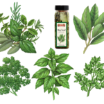 Italian herbs including bay leaves, basil, curley parsley and flat leaf parsley