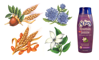 Jasmine, bachelor button,jojoba, and vitamin E