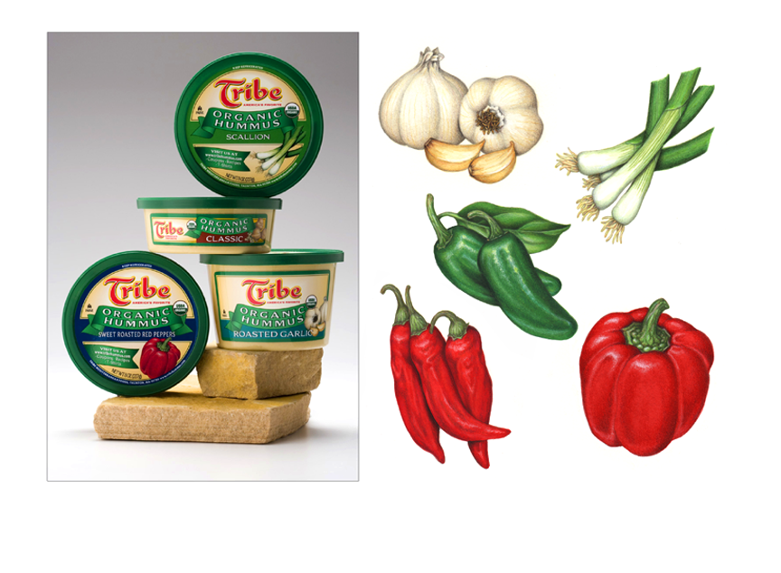 Vegetable illustrations of garlic, green onion, scallion, jalapeno, chili, and red peppers for Tribe Hummus.