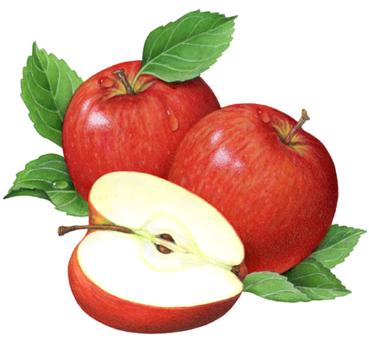 Fruit illustration of two red apples with a cut half and leaves.