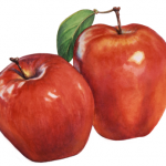 Fruit painting of two Red Delicious apples.