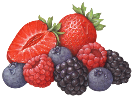 Berries, Strawberries, Blueberries, Blackberries and Raspberries