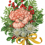 Christmas bouquet with candy cane carnation, white mums, holly and holly berries