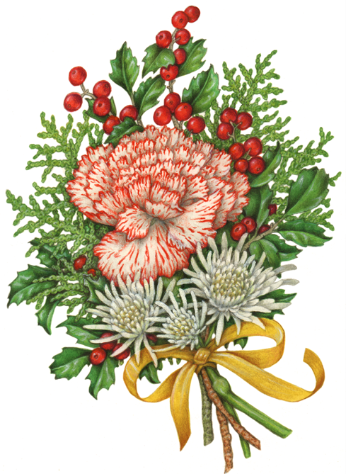 Christmas bouquet with candy cane carnation, white mums, holly and holly berries