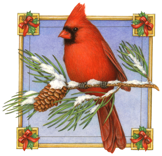 Christmas icon of a cardinal on a pine branch