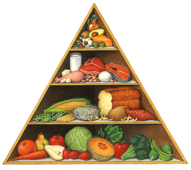 California lifestyle food pyramid
