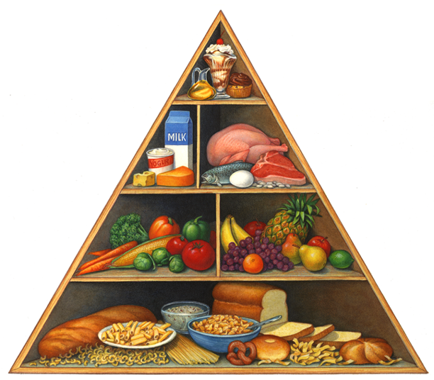 FDA food pyramid illustration