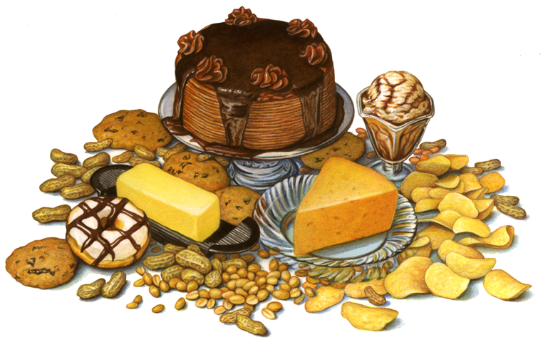 High fat content foods including butter, cheese, desserts, peanuts and chips