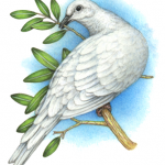 Watercolor bird painting of a dove with an olive branch