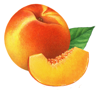 Whole peach with peach slice and leaf
