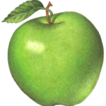 One green Granny Smith apple with a leaf