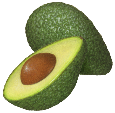 One green avocado with a cut half