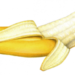 Half peeled banana #2