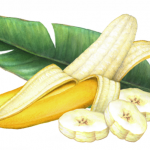 Half peeled banana with three banana slices and a banana leaf