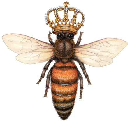 An overhead view of a queen bee with a crown.