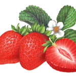 Two red strawberries with a cut half and leaves with a blossom