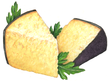 Two Parmesan cheese wedges with purple skin and Italian parsley