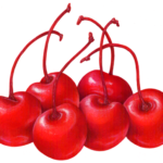 Six maraschino cherries with stems