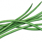 Cut chives