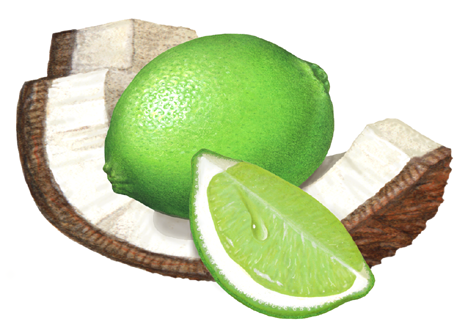 Coconut piece with a whole lime and a lime wedge