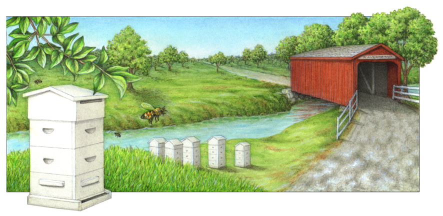 Bee hives and red covered bridge scene