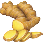 Ginger root with four ginger slices