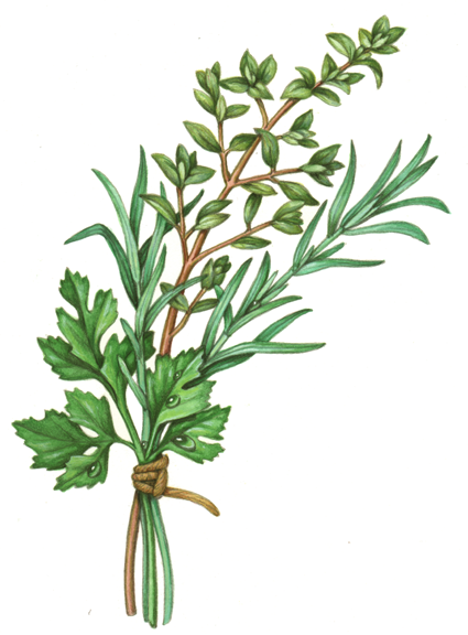 Herb bundle of parsley, rosemary and thyme