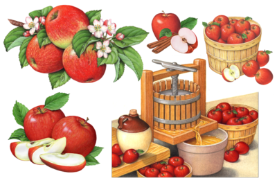 Apples including a bushel basket and a cider press