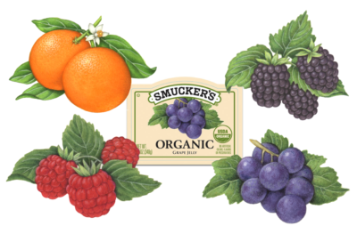 Blackberries, grapes, raspberries and oranges