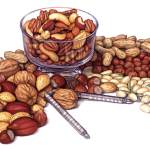 Assorted nuts still life with a glass bowl, nut cracker, walnuts. pecans, almonds, pistachios, hazelnuts, Brazil nuts and peanuts