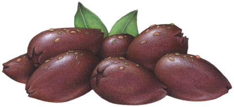 Seven pitted purple Kalamata olives with spices