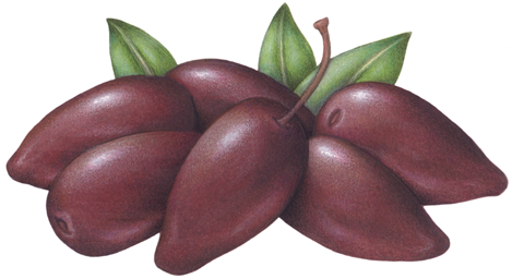 Six purple jumbo kalamata olives