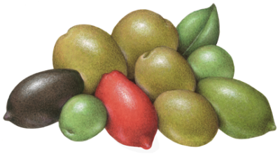 Olive Medley D'Italia with red, green, and black Cerignola, green Castellavetrano, California Sicillian, and Giarraffa olives.