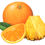 Whole orange with a cut orange section, a cut pineapple wedge, and a leaf.