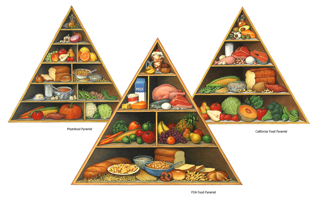 FDA food pyramid, phytofood pyramid, and California diet food pyramid.