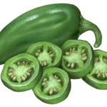 Whole jalapeno pepper with five cut slices