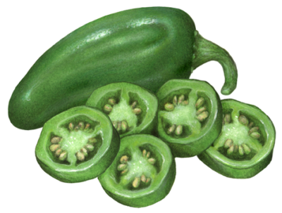 Whole jalapeno pepper with five cut slices