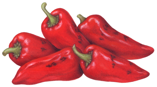 Five roasted red chile peppers