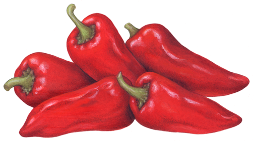 Five red chili peppers