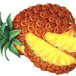 Whole pineapple with two cut pineapple slices