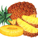 Whole pineapple with two cut slices and one cut pineapple ring