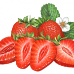 Two whole strawberries and four strawberry slices with strawberry leaves and flower