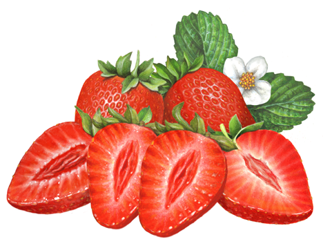 Two whole strawberries and four strawberry slices with strawberry leaves and flower