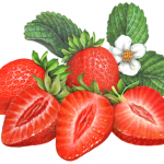 Two whole strawberries with three cut strawberry halves and leaves with a strawberry flower